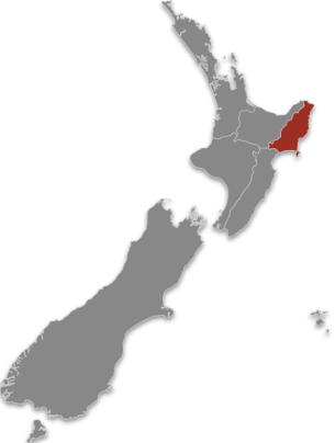 Tairawhiti highlighted on a map of Aotearoa