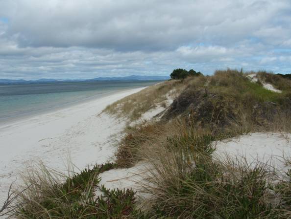 KaimaumauMaraeForedune