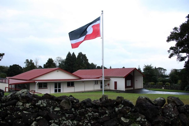 Ngararatuna Marae vi