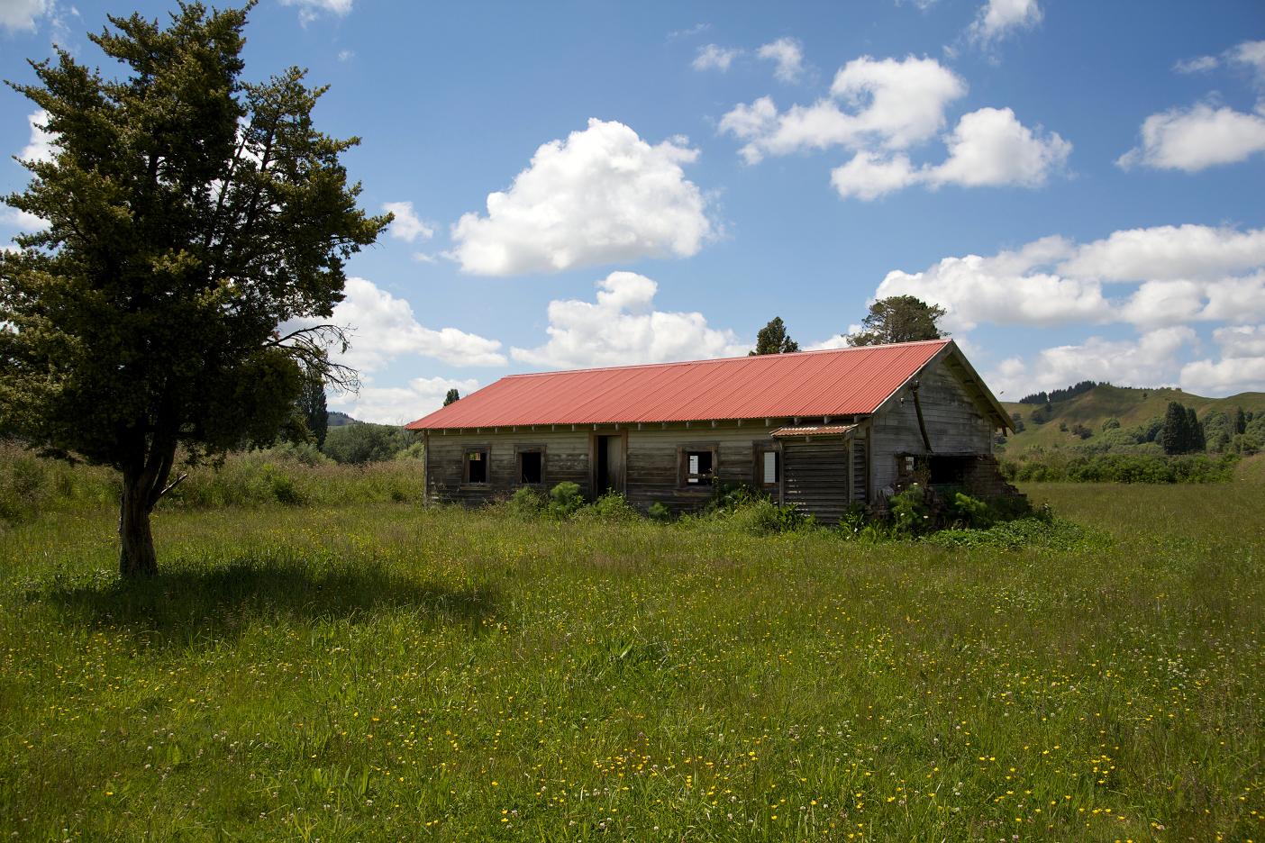 Rangatira 07