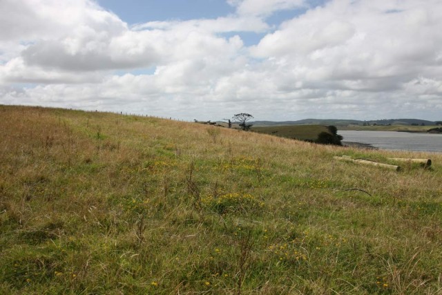 Rawhitiroa Marae iii