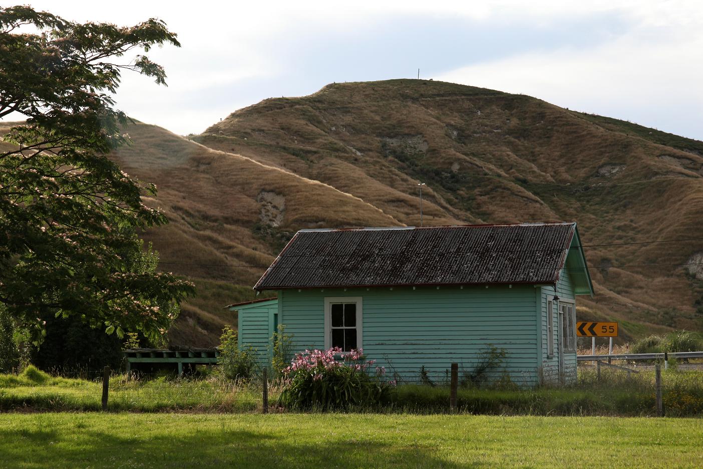 Tahaenui Manutai 04