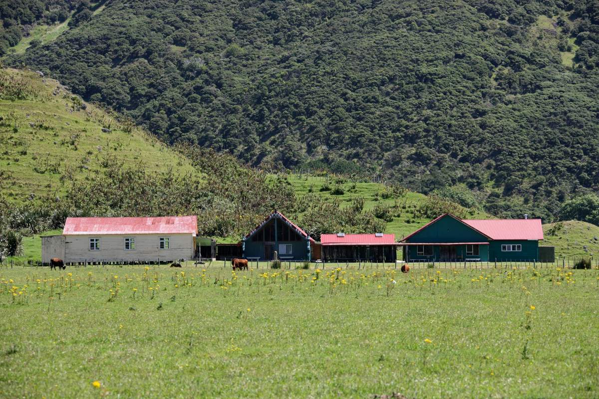 Te Taiao Marae i