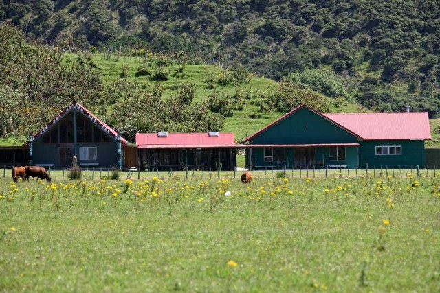 Te Taiao Marae iii