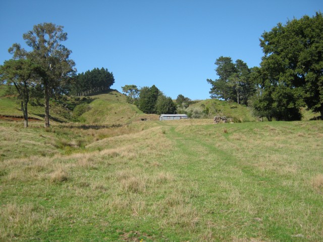 Turitea Marae